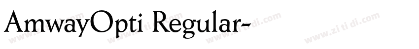 AmwayOpti Regular字体转换 AmwayOpti Regular字体转换